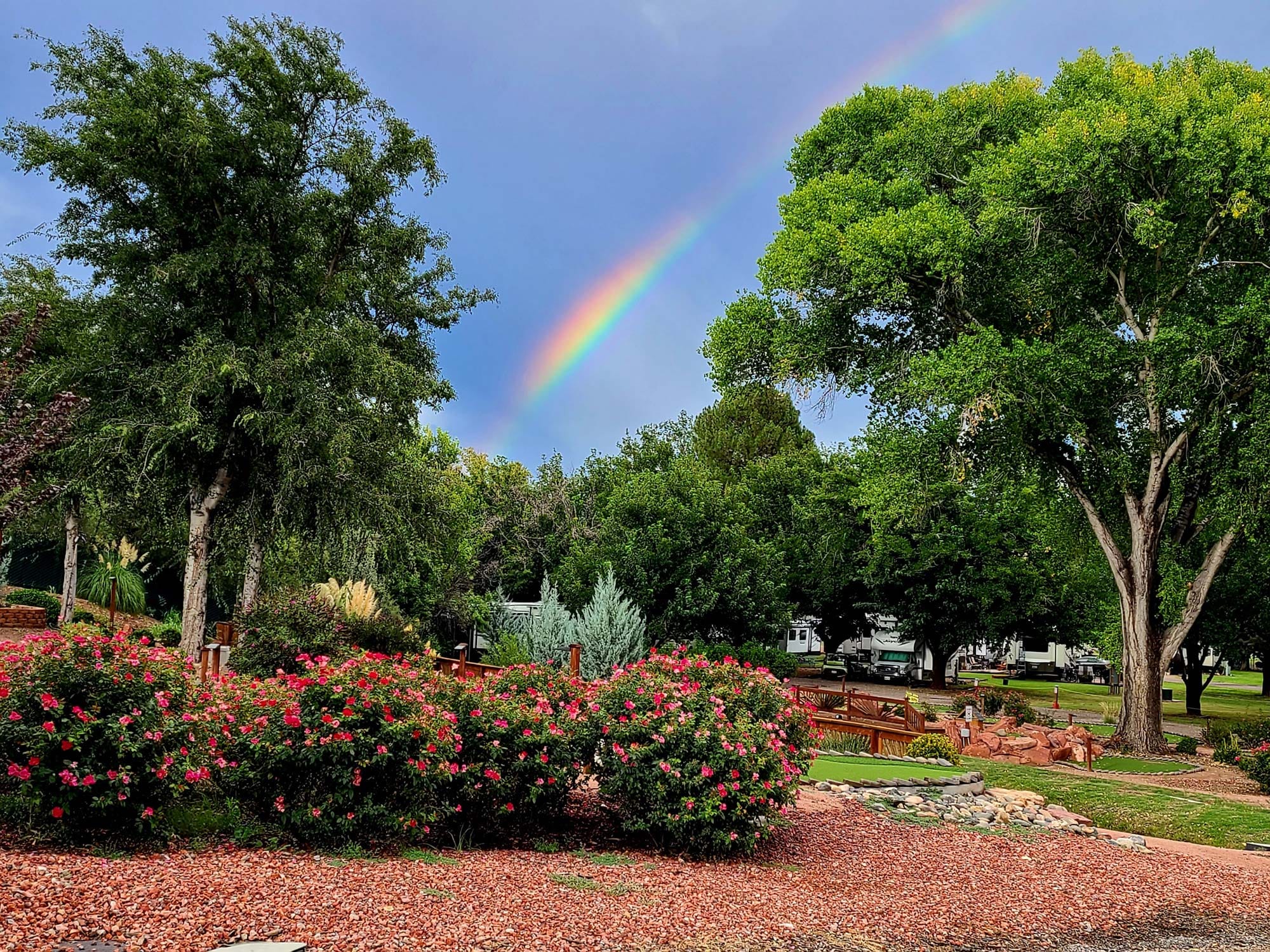 Rainbow over park